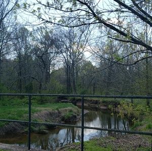 Meet your Posher, Wafaa